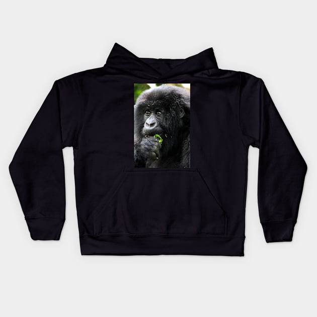 Juvenile Mountain Gorilla Eating, Kwitonda Group, Rwanda, East Africa Kids Hoodie by Carole-Anne